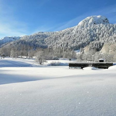 Chalet Des Cascades Le Mont-Dore Eksteriør bilde