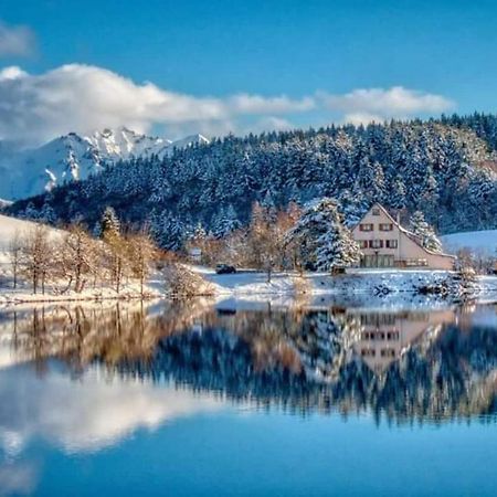 Chalet Des Cascades Le Mont-Dore Eksteriør bilde
