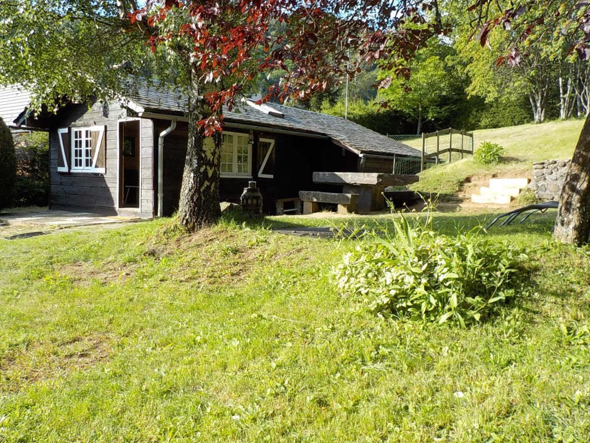 Chalet Des Cascades Le Mont-Dore Eksteriør bilde