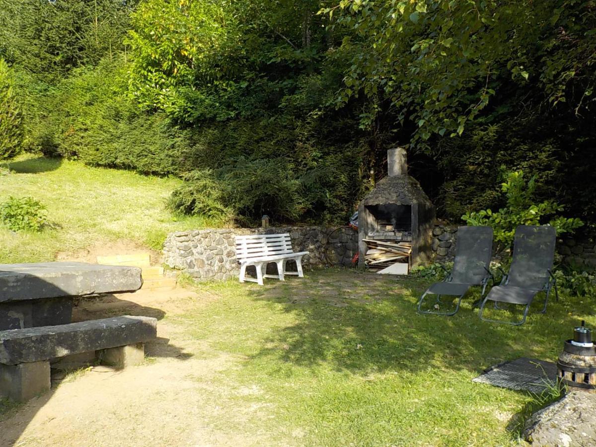 Chalet Des Cascades Le Mont-Dore Eksteriør bilde