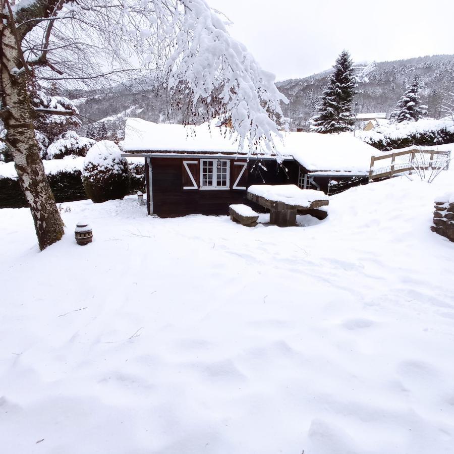 Chalet Des Cascades Le Mont-Dore Eksteriør bilde