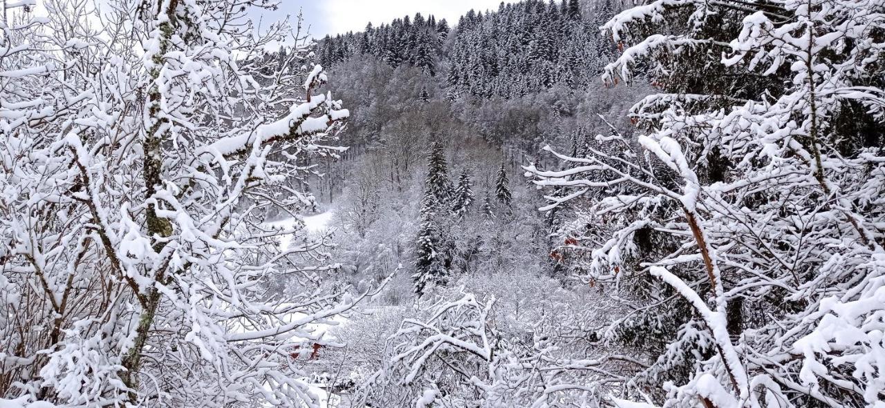 Chalet Des Cascades Le Mont-Dore Eksteriør bilde