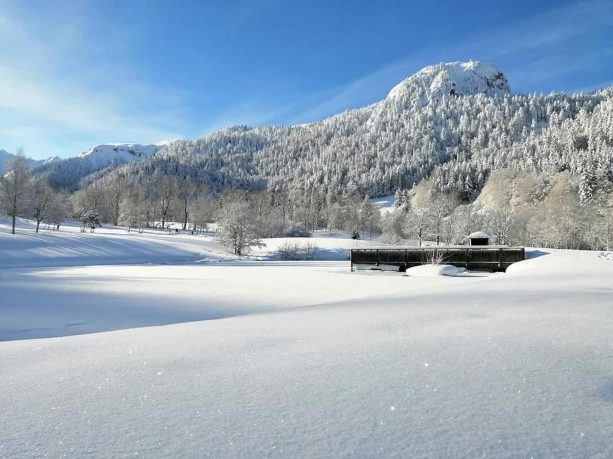 Chalet Des Cascades Le Mont-Dore Eksteriør bilde