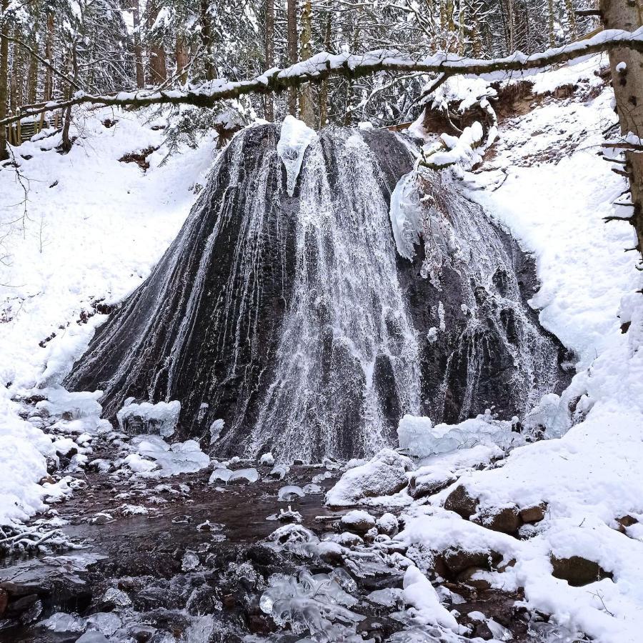 Chalet Des Cascades Le Mont-Dore Eksteriør bilde